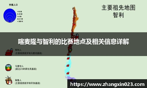 喀麦隆与智利的比赛地点及相关信息详解